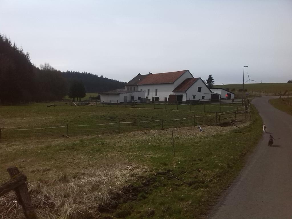 Muehlenhof Stadtkyll Exteriér fotografie